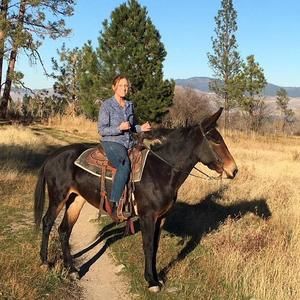 Meet your Posher, Katie